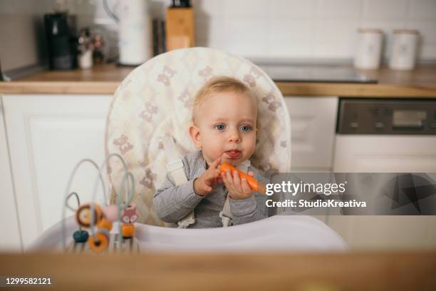 joven madre está alimentando a su bebé - ein elternteil fotografías e imágenes de stock