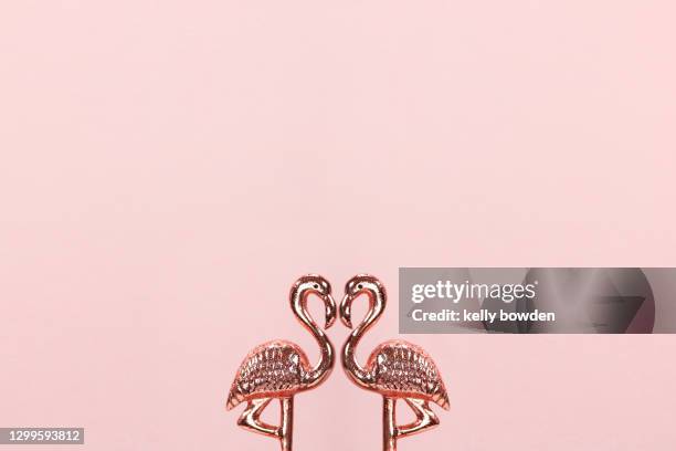 rose gold flamingos love heart shape - flamingo heart fotografías e imágenes de stock