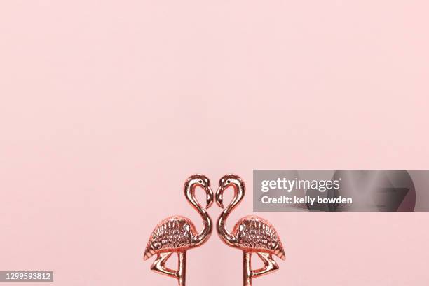 rose gold flamingos love heart shape - flamingo heart stock pictures, royalty-free photos & images