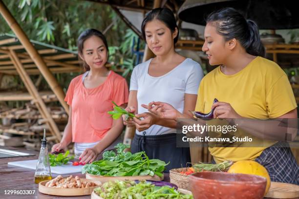 southeast asian woman enjoy cooking class together at a permaculture farm. - farm to table stock pictures, royalty-free photos & images