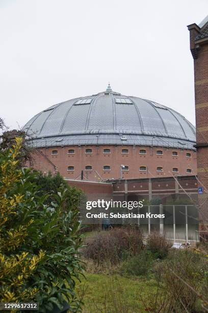 koepel gevangenis prison seen from garden, breda, the netherlands - gevangenis stock pictures, royalty-free photos & images