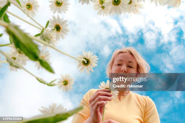 woman holding picked chamomile in field of wildflowers - 花びら占い ストックフォトと画像