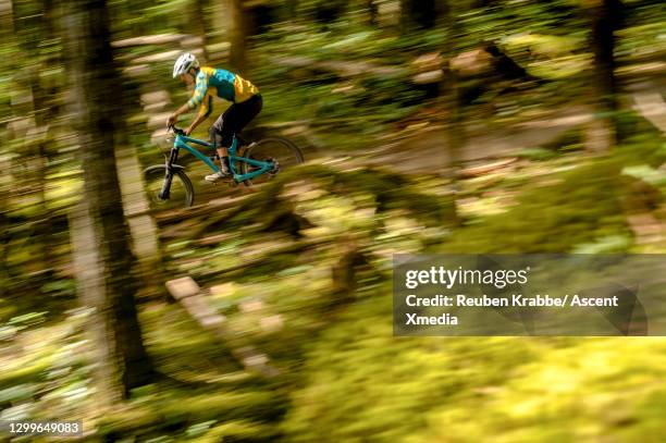 mountain biker descends dirt pathway, in deep forest environment - squamish stock pictures, royalty-free photos & images
