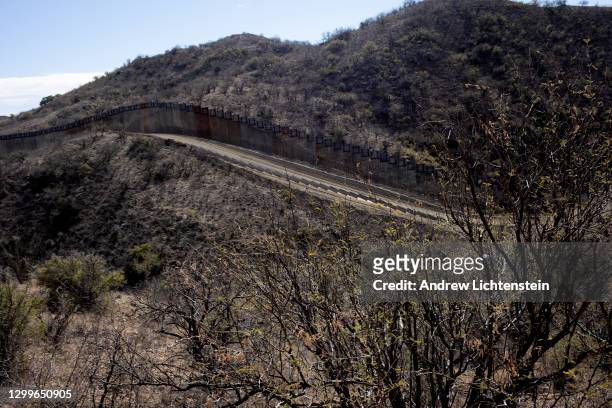 Construction along the new United States-Mexican border wall built under President Trump has halted approximately fifteen miles east of Sasabe, as...