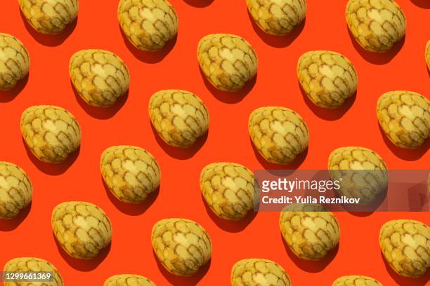 repeated cherimoya fruits (custard apple) on the orange background - cherimoya stockfoto's en -beelden