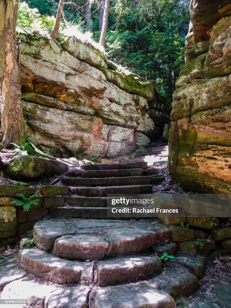 Sandstone Ledges Wooded Trail