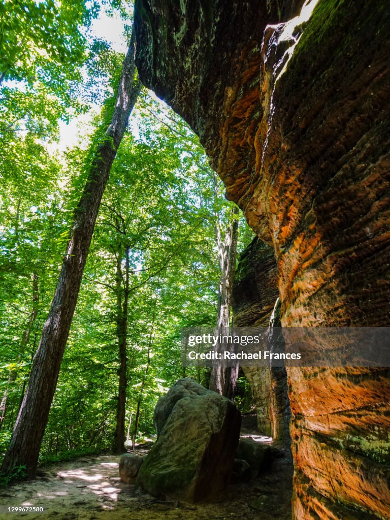 Sandstone Ledges Wooded Trail