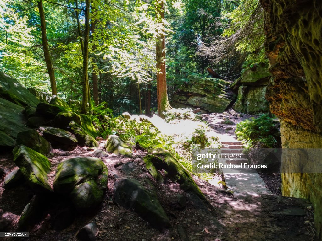 Zandsteen Riched Trail