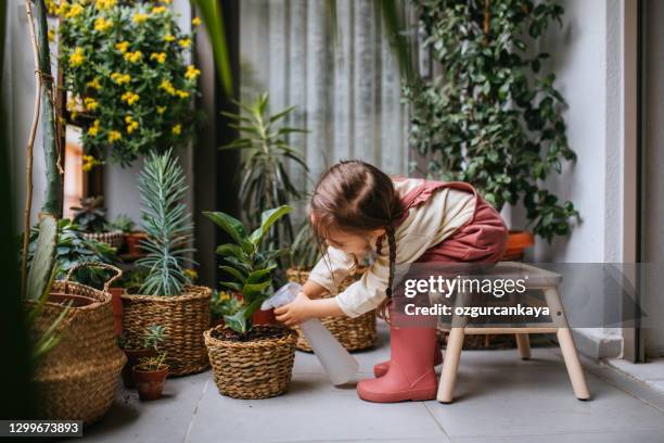 little girl watering houseplants - spring home interior stock pictures, royalty-free photos & images