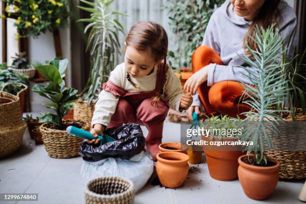 cute girl planting flowers with mother at house balcony - mother daughter holding hands stock pictures, royalty-free photos & images