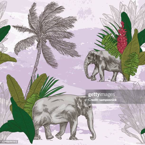 british colonial tropical elephant seamless pattern - palm plantation stock illustrations