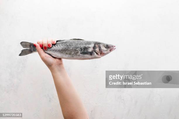 frontal view of a woman's hand with red fingernails while holding a sea bass by the tail on a white background - bass stock-fotos und bilder