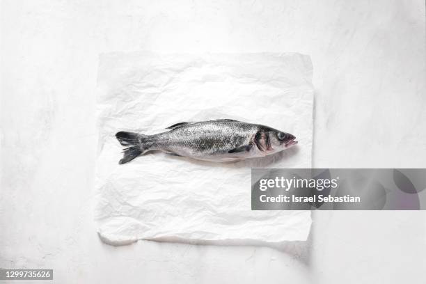 from above a raw sea bass on a paper towel ready to prepare a delicious meal. - ワックスペーパー ストックフォトと画像