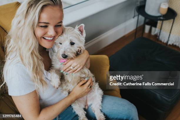 young woman cuddles her west highland terrior dog - west highland white terrier stock pictures, royalty-free photos & images