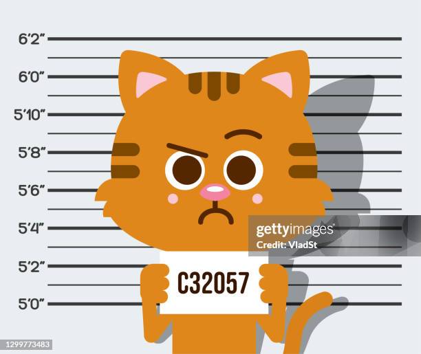 stockillustraties, clipart, cartoons en iconen met kitty cat mugshot huisdieren vector illustratie - guilt