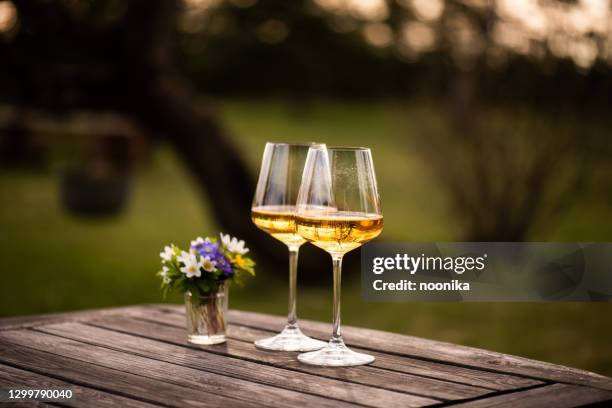 dos copas de vino espumoso - sidra fotografías e imágenes de stock