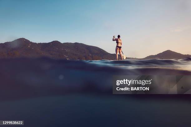 female paddleboarder paddling in tropical sea at sunset - verwonderingsdrang stockfoto's en -beelden