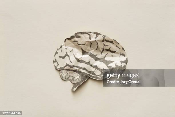 Brain Textured Paper Copier Paper Texture Photos and Premium High Res Pictures - Getty Images