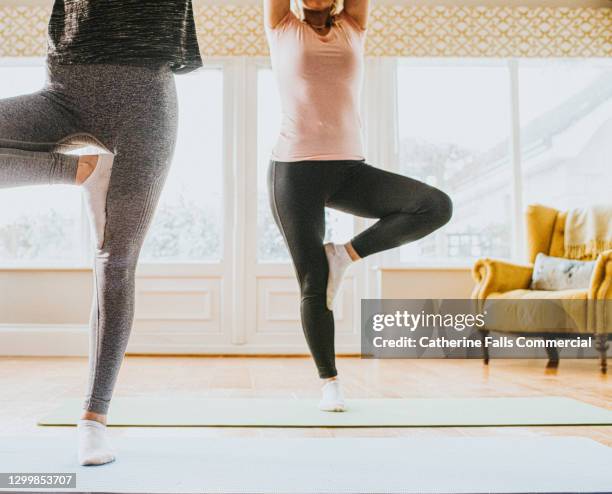 two woman performing yoga at home on yoga matsb - on one leg stock pictures, royalty-free photos & images