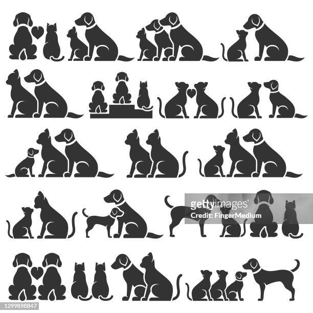 katze und hund-icon-set - cat and dog together stock-grafiken, -clipart, -cartoons und -symbole