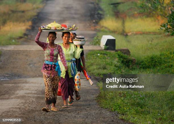 a group of elder women are lining up and carrying the offerings with their head - bali women tradition head stock pictures, royalty-free photos & images