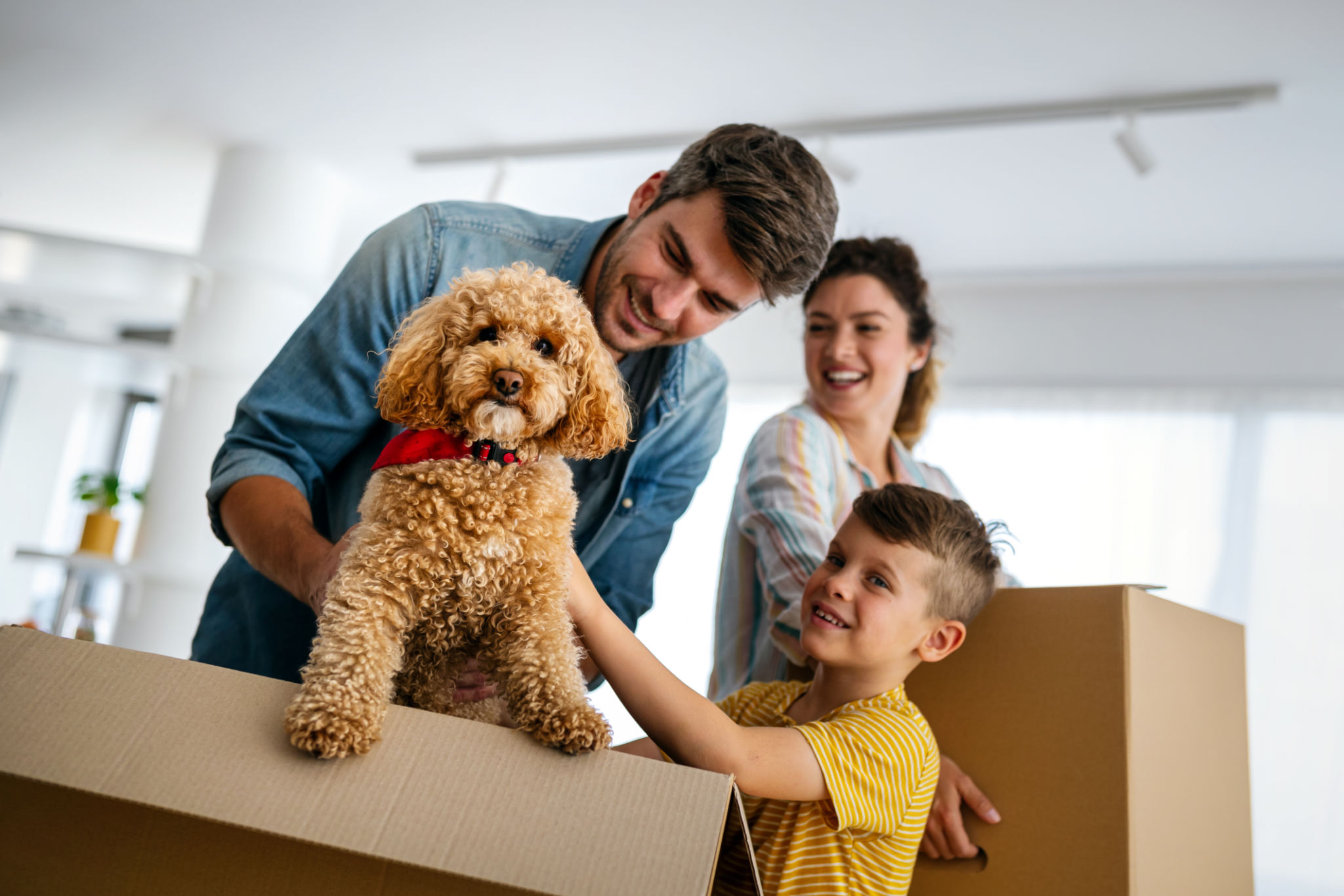 moving insurance