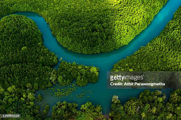 aerial view of koh chang - aerial forest stockfoto's en -beelden