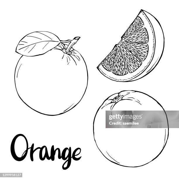 ilustrações de stock, clip art, desenhos animados e ícones de orange drawing - orange