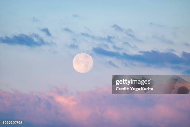 full moon over pink clouds - vollmond stock-fotos und bilder