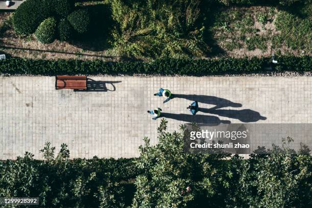 looking down on the footpath in the park - aerial public park stock pictures, royalty-free photos & images
