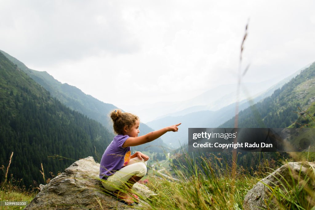 Pointing the Way