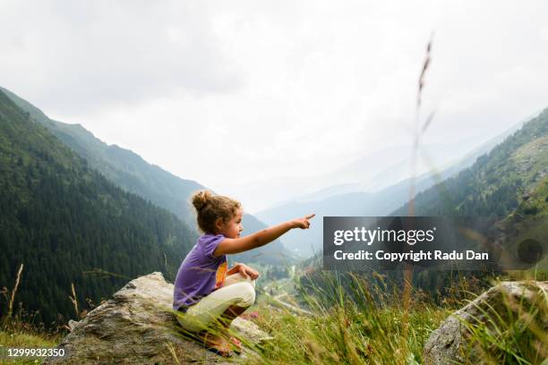 pointing the way - romania mountain stock pictures, royalty-free photos & images