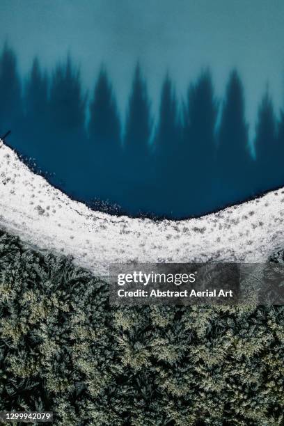 aerial shot directly above shadows from a forest reflecting in a lake, worcestershire, england, united kingdom - uk landscape stock pictures, royalty-free photos & images