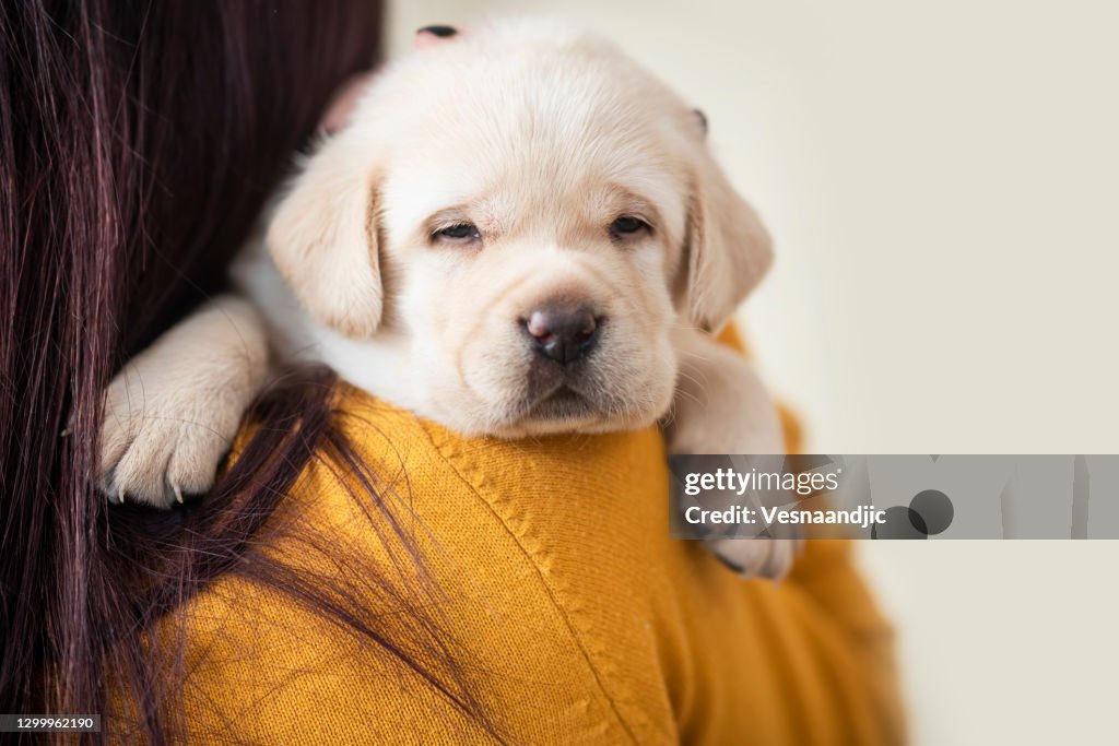 Jeune femme avec le chiot à la maison