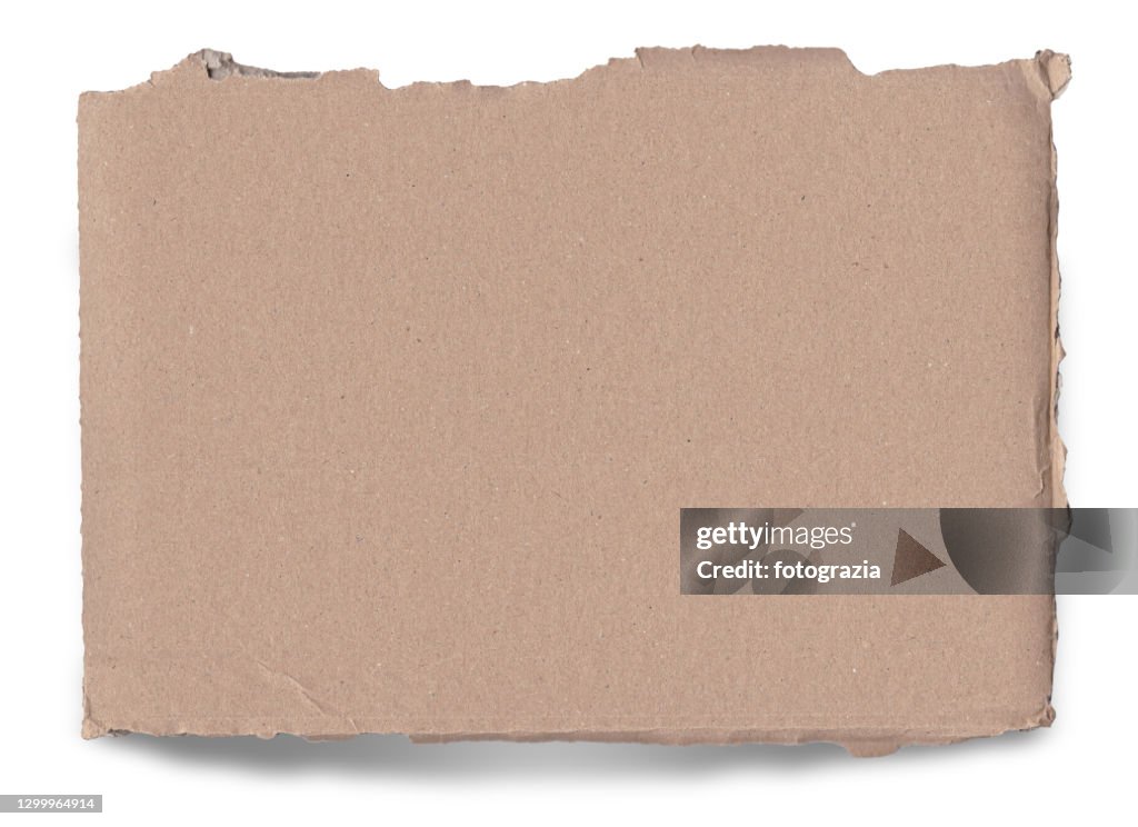 Piece of a Torn Cardboard Isolated on White