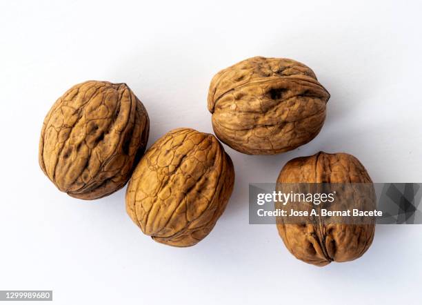 group of walnuts in shell on a white background. - cáscara de nuez fotografías e imágenes de stock