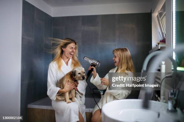 mother and small daughter with dog indoors in bathroom at home, having fun with hair dryer. - bath girl stockfoto's en -beelden