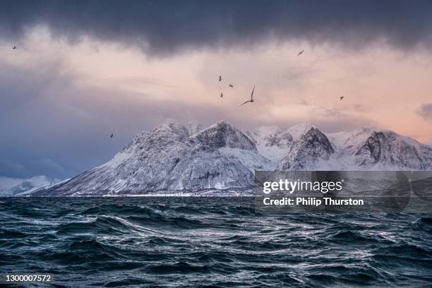 koude desolate, verre sneeuw behandelde bergen, extreem terrein in noordelijke noordpoolfiords van noorwegen - norway stockfoto's en -beelden