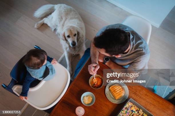 father feeding toddler at table - vista desde arriba perro fotografías e imágenes de stock