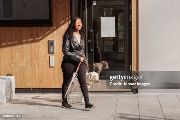 visually impaired woman walking with guide dog - blindness stock-fotos und bilder