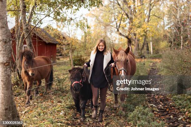 woman walking with horses on country road - pony paard stockfoto's en -beelden