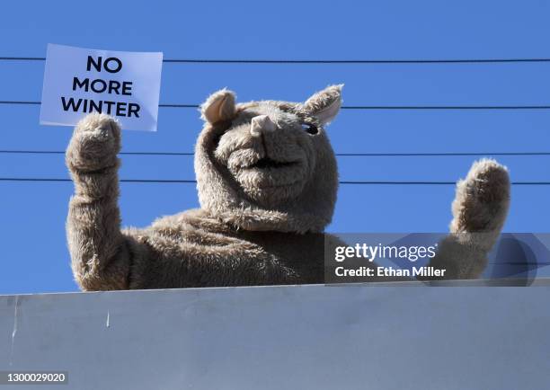 Groundhog" Las Vegas Larry emerges on the roof of the Snappy Burger drive-thru hamburger stand and drive-in movie theater holding a "NO MORE WINTER"...