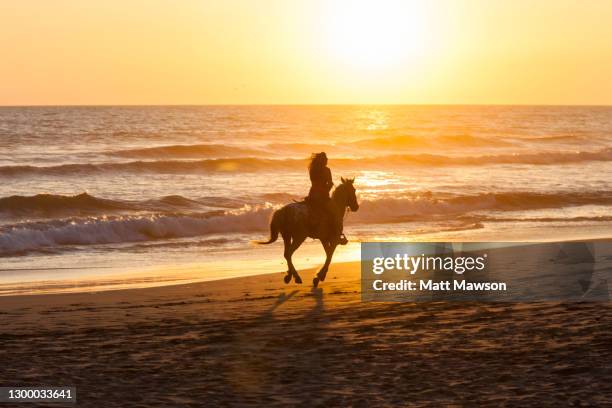 a woman riding a horse on a beach in mazatlán sinaloa mexico - montare un animale montare foto e immagini stock