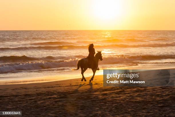a woman riding a horse on a beach in mazatlán sinaloa mexico - recreational horse riding stock pictures, royalty-free photos & images