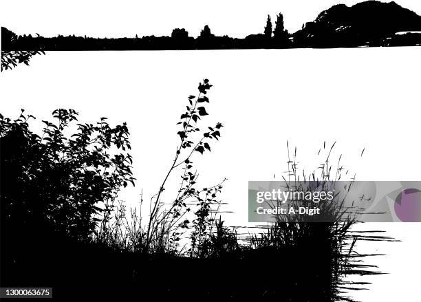 lakeshore flora - seeufer stock-grafiken, -clipart, -cartoons und -symbole