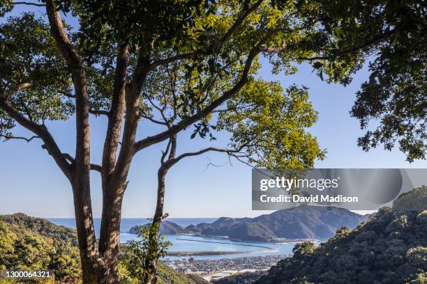 View from the trail to Zenraku-ji, Temple 30 of the Shikoku 88 Buddhist temple pilgrimage, of the Pacific Ocean and harbor near Tosa on November 15,...