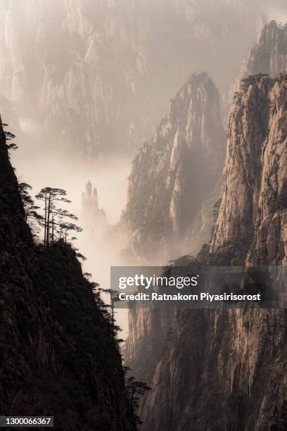 mist rising in huangshan national park (yellow mountain) anhui province, china. - huangshan bildbanksfoton och bilder