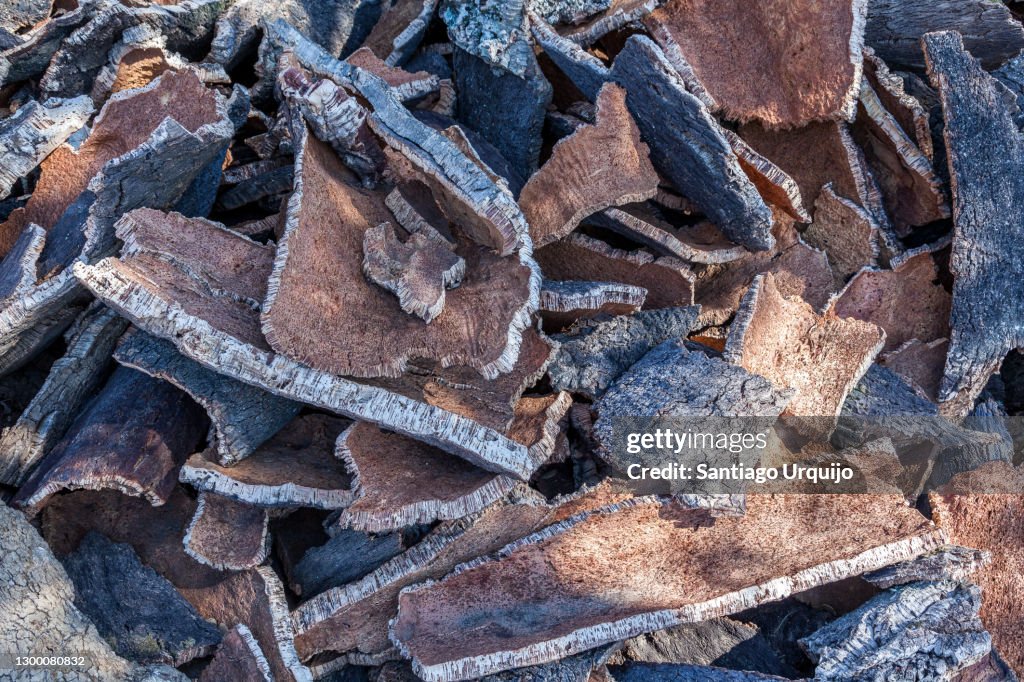 Heap of cork oak barks