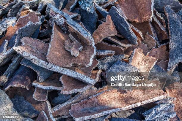 heap of cork oak barks - sughero foto e immagini stock