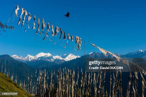 Raven and prayer flag and view on Kangchenjunga, Pelling, Sikkim, October 24 India.